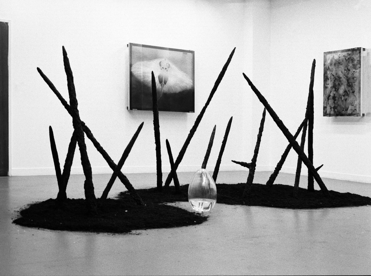 © Shanna Warocquier