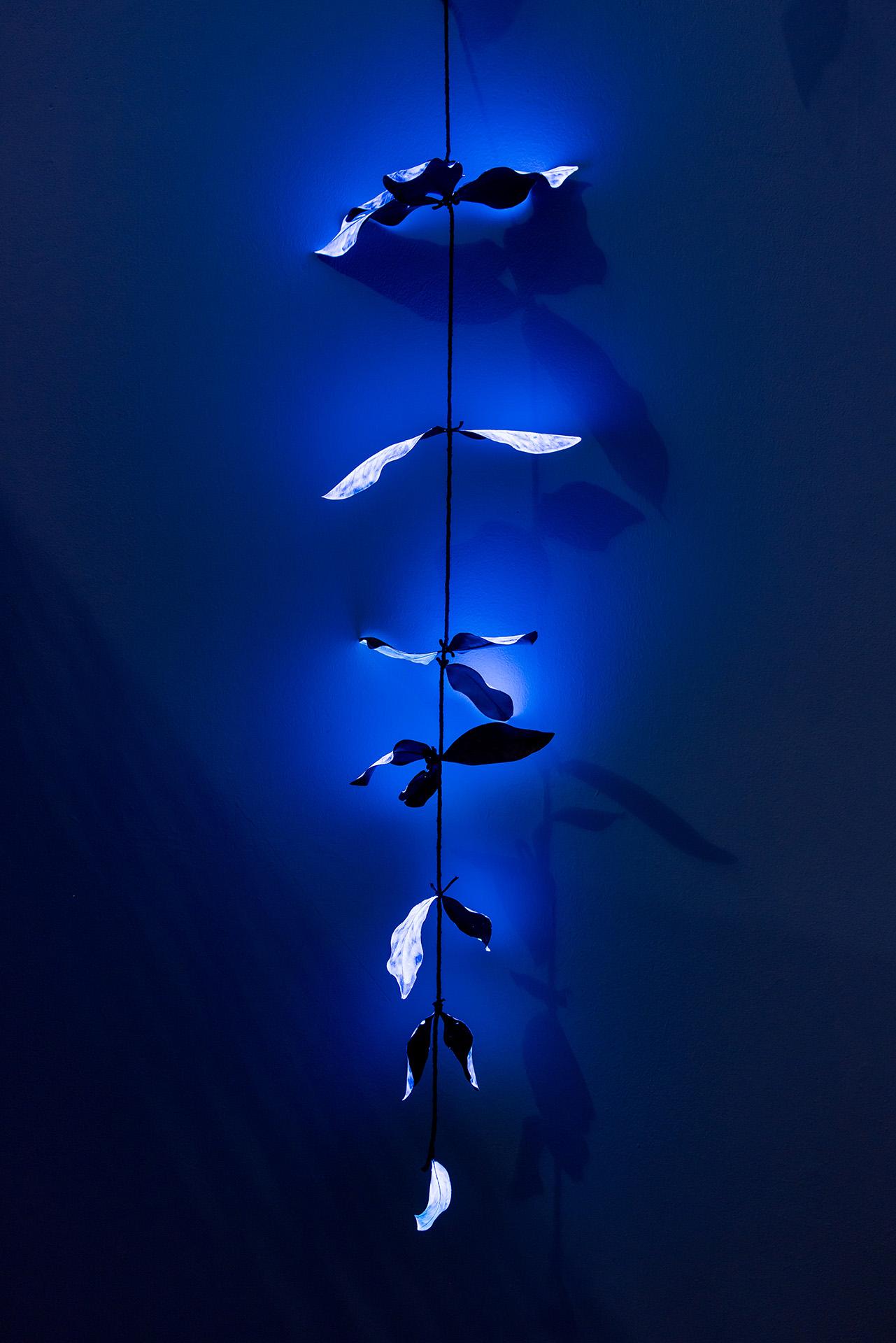 Christiane Pit © Mathieu Faluomi