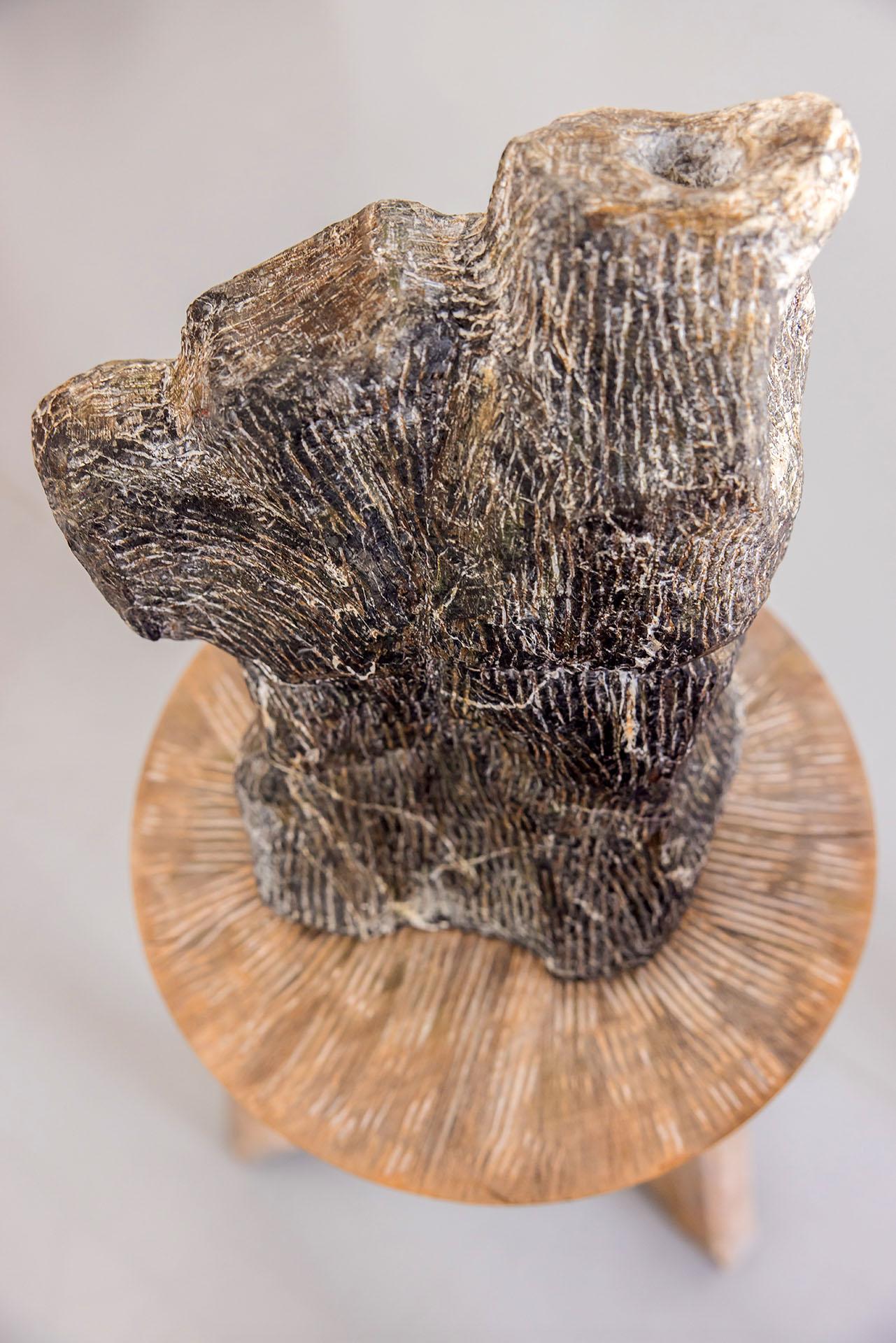 Alice Béra © Mathieu Faluomi