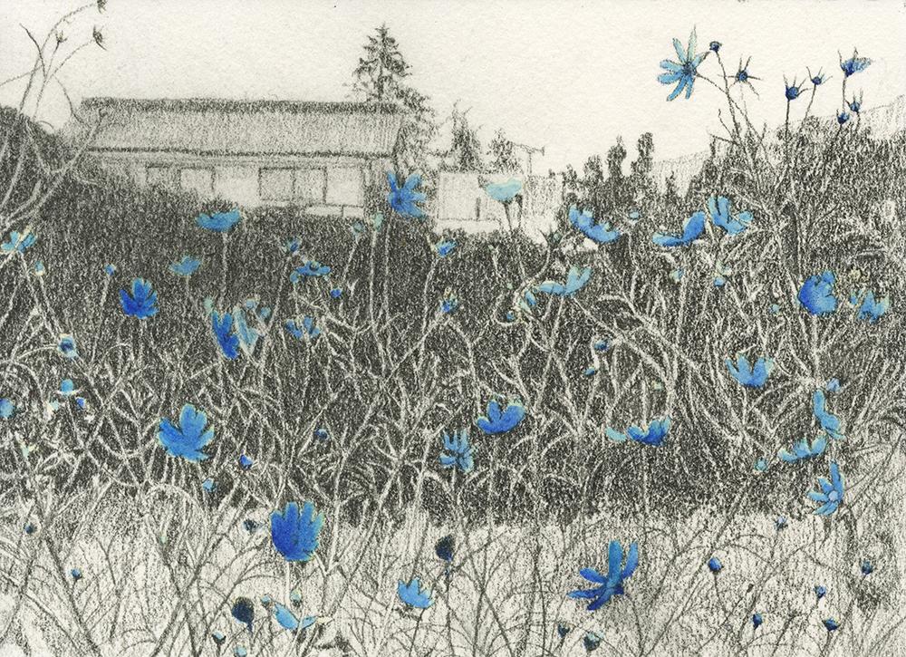 ©Lilika Leblanc