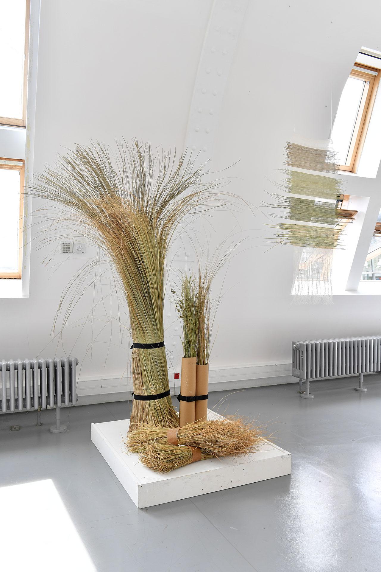 Malo Mahuzier © Béryl Libault