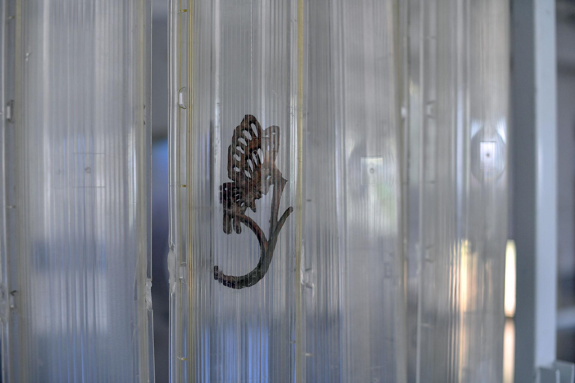 Luz Palacios Au Frere de La Preugne © Béryl Libault