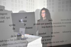Whole Web Catalog - crédits Beryl Libault