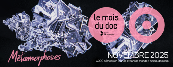 Images en bibliothèques © HartlandVilla & Aude Perrier