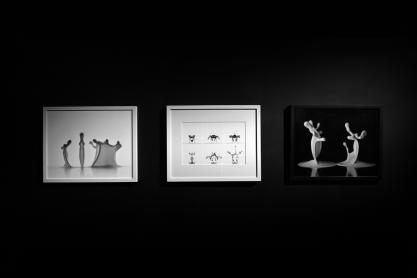 Soutenance de thèse Benoît Pype - © Béryl Libault