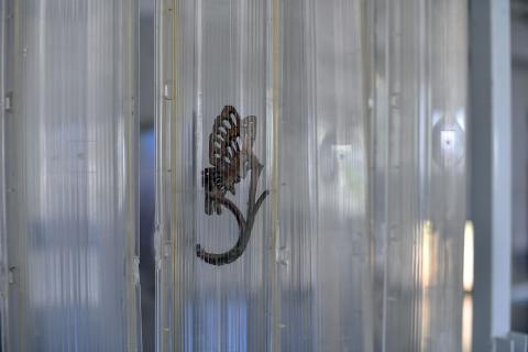 Luz Palacios Au Frere de La Preugne © Béryl Libault