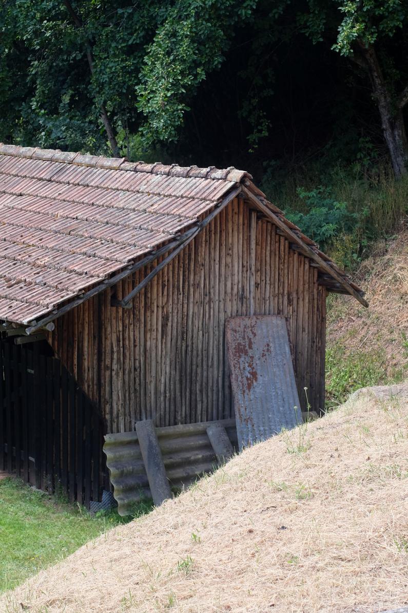 DMF ©Nicolas Verschaeve