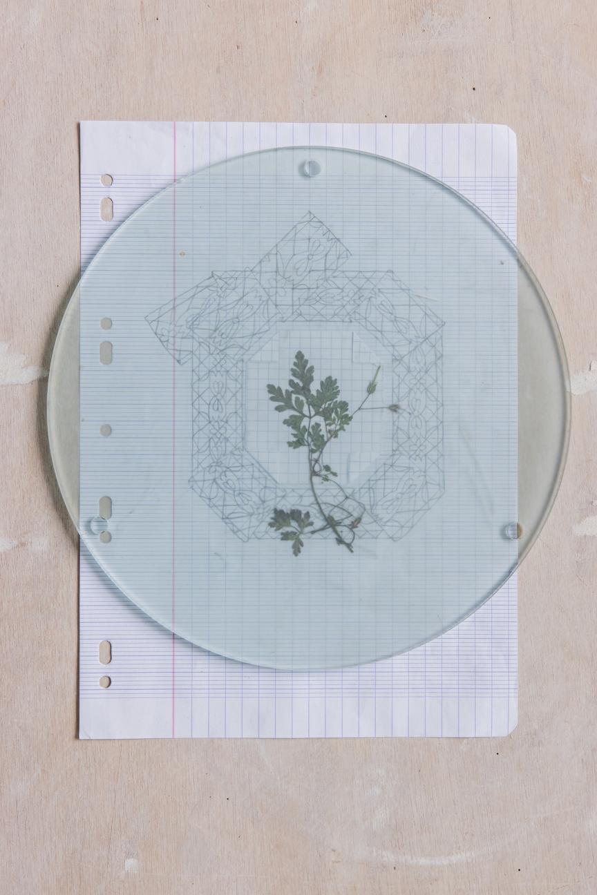 L.Campion © Mathieu Faluomi