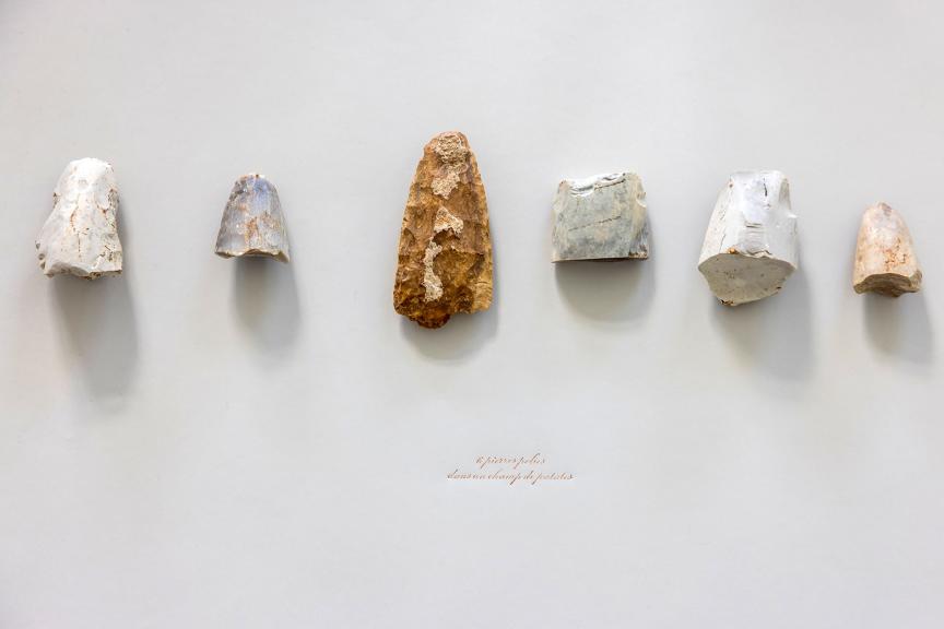 N. Rousseau © Mathieu Faluomi