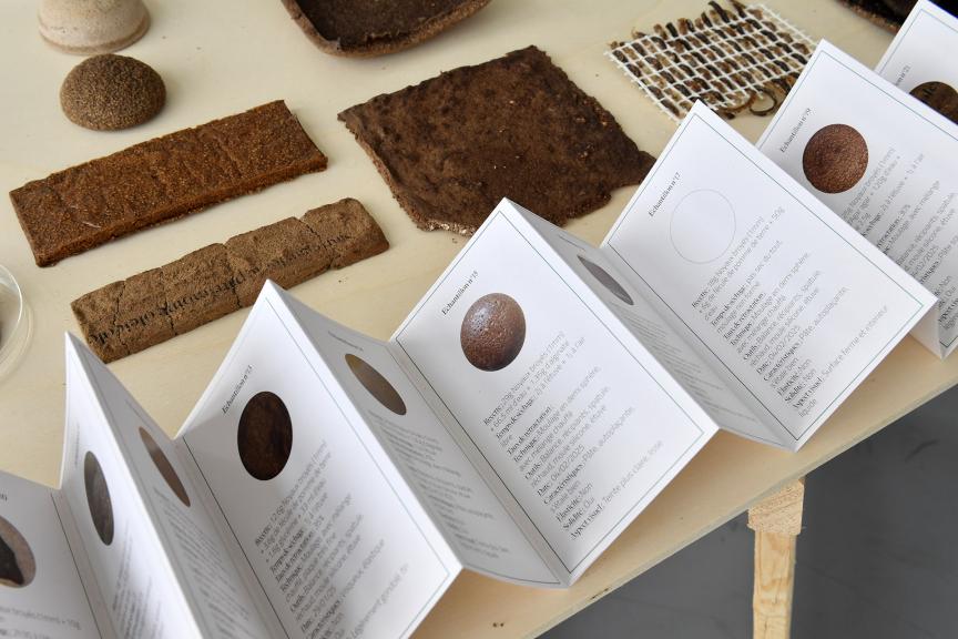 Campo Alexia ©Beryl Libault