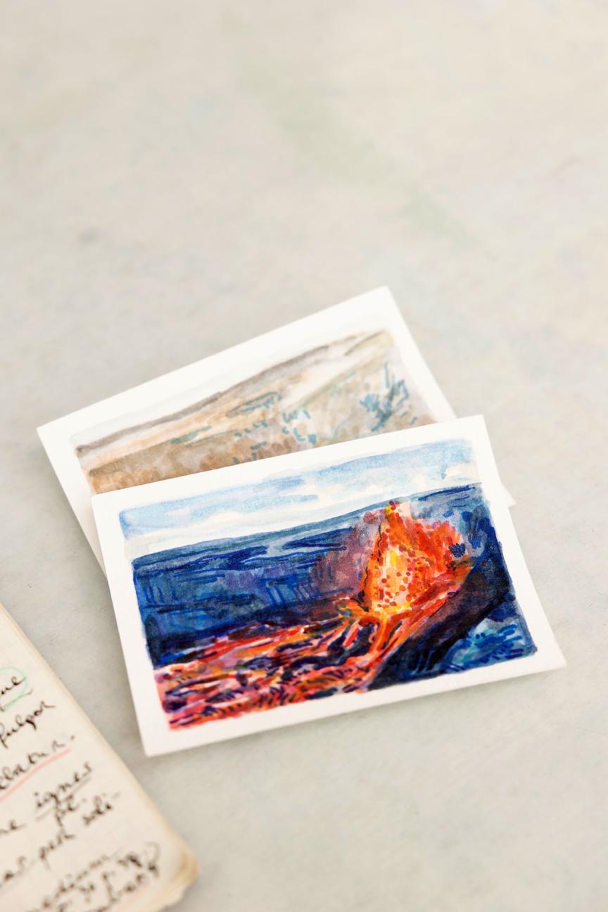 Petit Garance © Amélie Canon