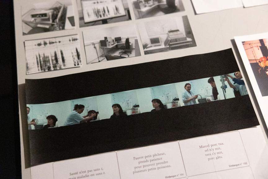 Rose Hirgorom © Amélie Canon