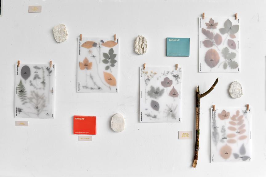 Elsa Neumuller © Béryl Libault