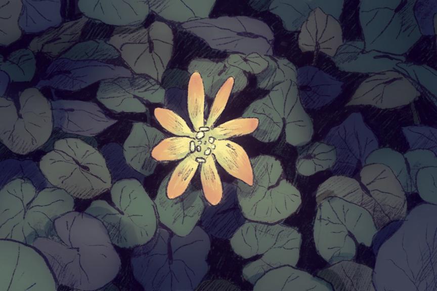 ©Ensad Pauline Dotsenko