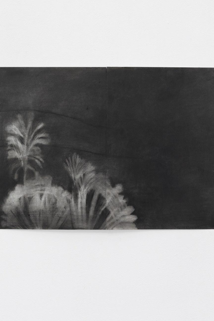 Lou Delius ©Amélie Canon