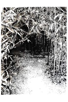 A la croisee des chemins ©Josephine Sens