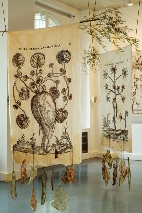 Villa Panthéon 2024 © Camille Riou