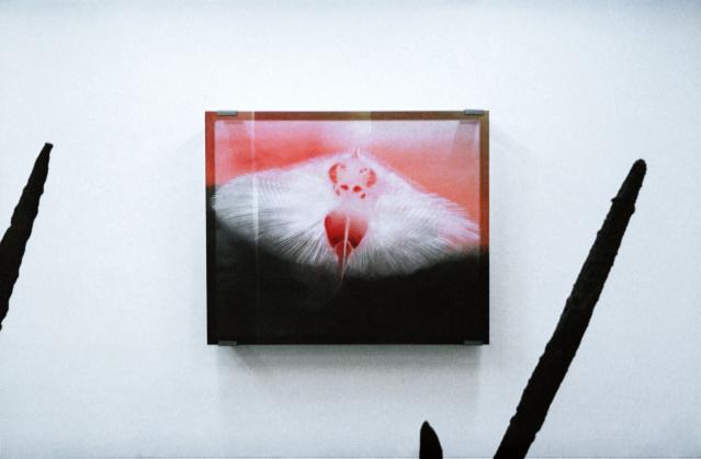 © Shanna Warocquier