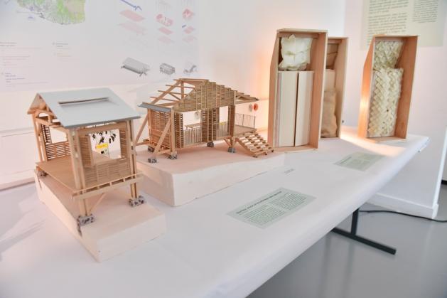 JPO 2025 © Béryl Libault 