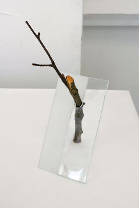 Trophées Eco quartiers ©Théo Etrillard