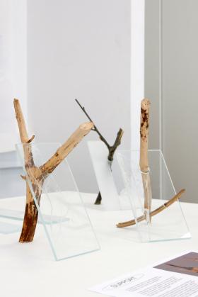 Trophées Eco quartiers ©Théo Etrillard