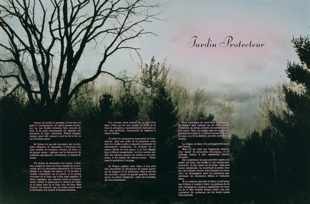 Martine Aballéa, Le jardin protecteur, 1988 © Martine Aballéa