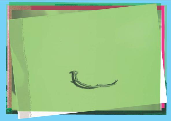 Plusieurs rectangles de couleurs se superposent (bleu, rouge, fuchsia et vert) avec une brindille au premier plan 