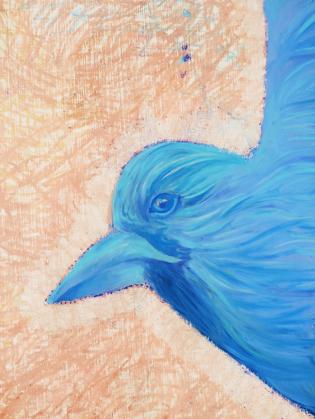 La conférence des oiseaux ©Théo Etrillard