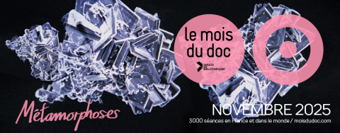 Images en bibliothèques © HartlandVilla & Aude Perrier