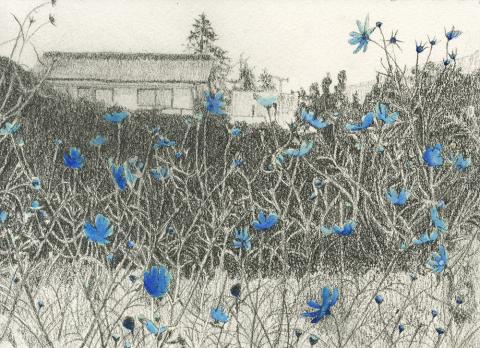 ©Lilika Leblanc